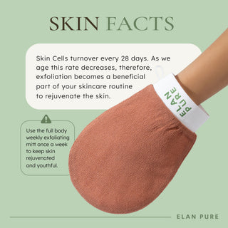 Exfoliator Mitt