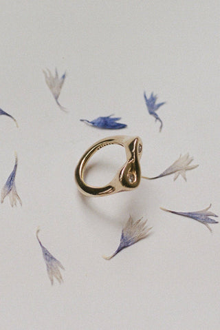 Axis Ring
