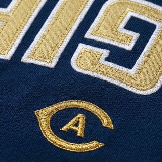UC Davis Varsity Hoodie