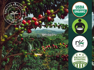 Organic Cuba Mia Double Espresso ESE Coffee Pods, Dark Roast - 12 Pods