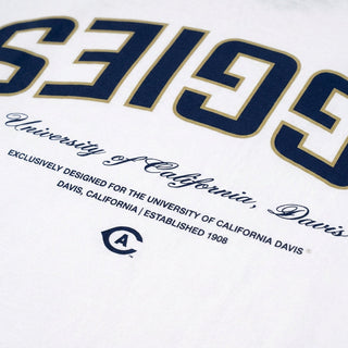UC Davis Essentials Oversized Tee