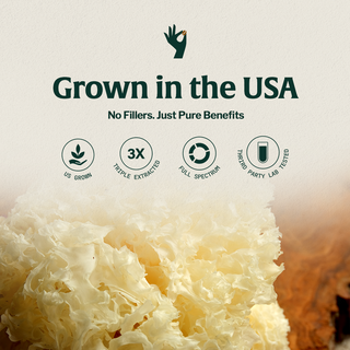 Organic Mushroom Tremella Half Caffeinated - Espresso