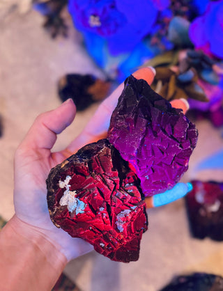 RARE Black Rose Fluorite Specimens, Fluoresce Red or Pink