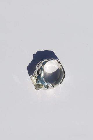 Ithaca Ring