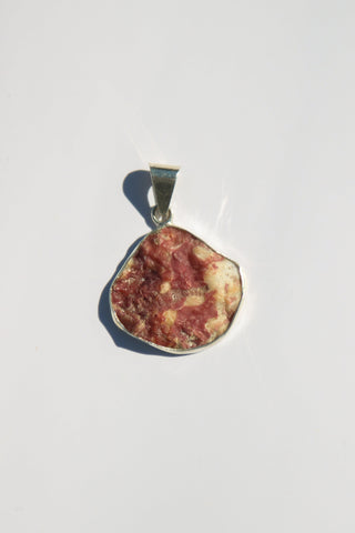 Medium Shell Pendants