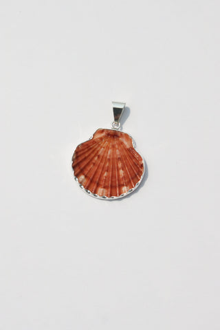Medium Shell Pendants