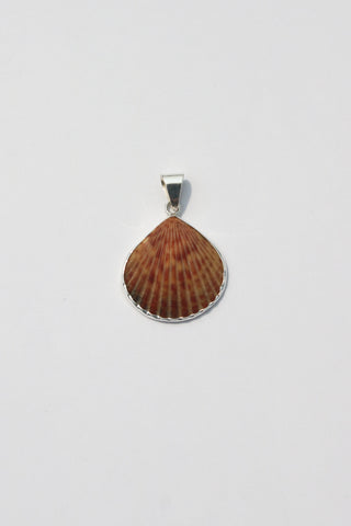 Medium Shell Pendants