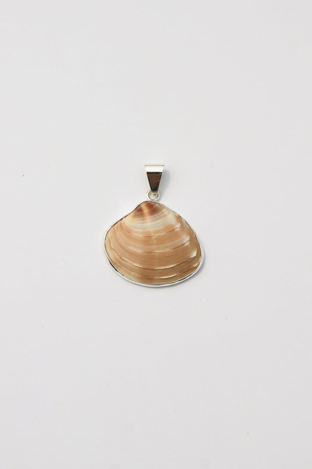 Medium Shell Pendants