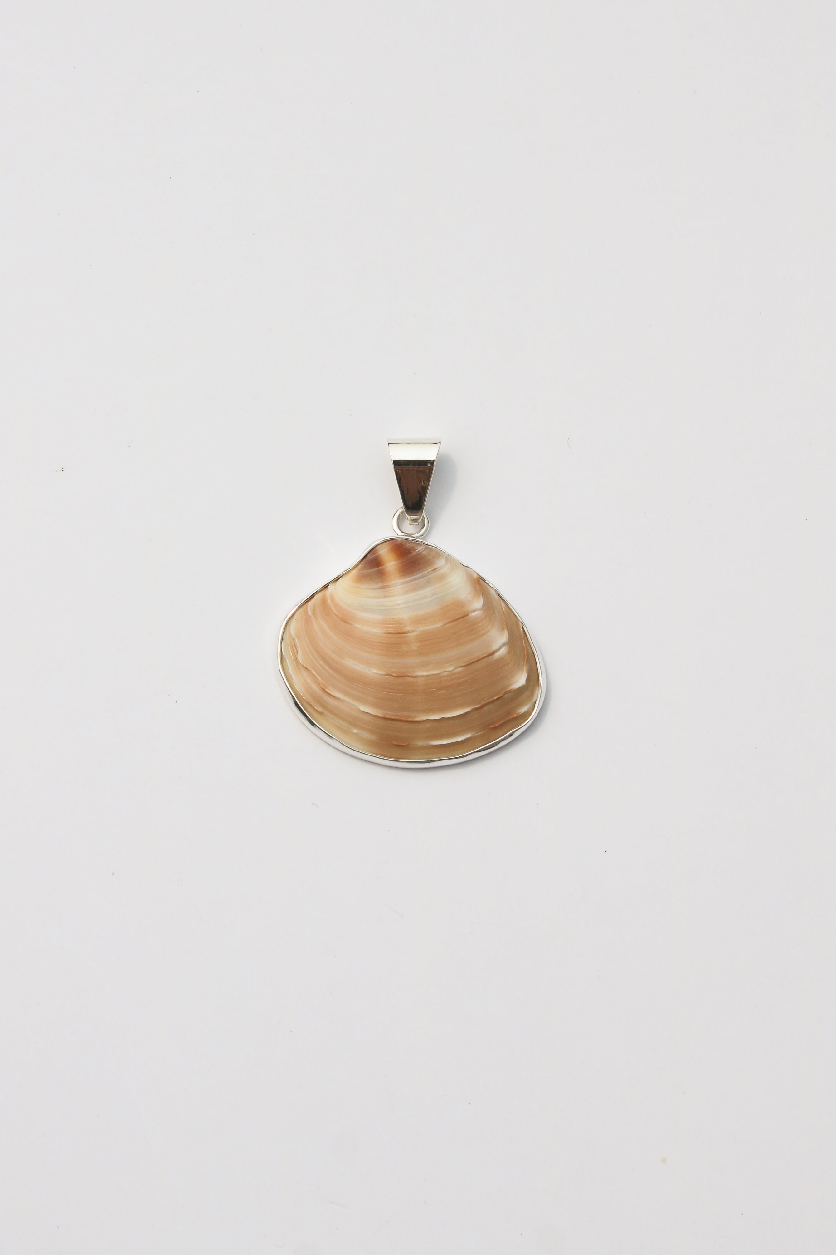 Medium Shell Pendants
