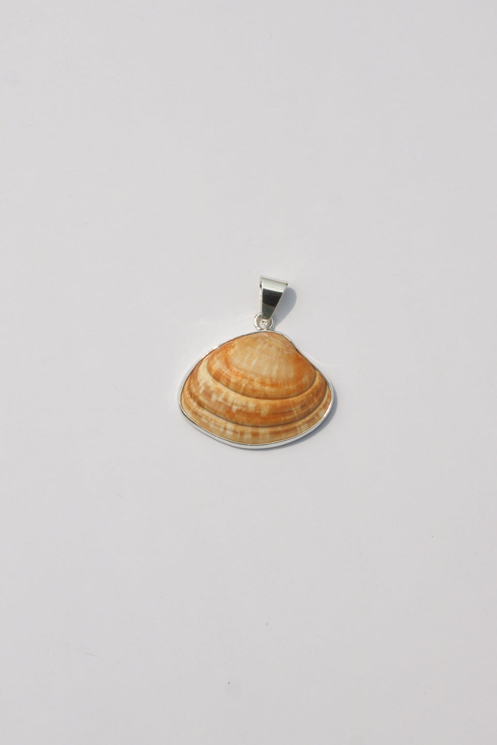 Medium Shell Pendants