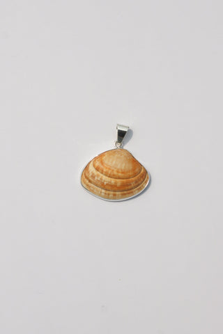 Medium Shell Pendants
