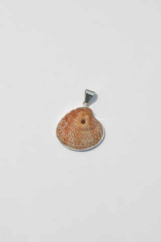 Medium Shell Pendants