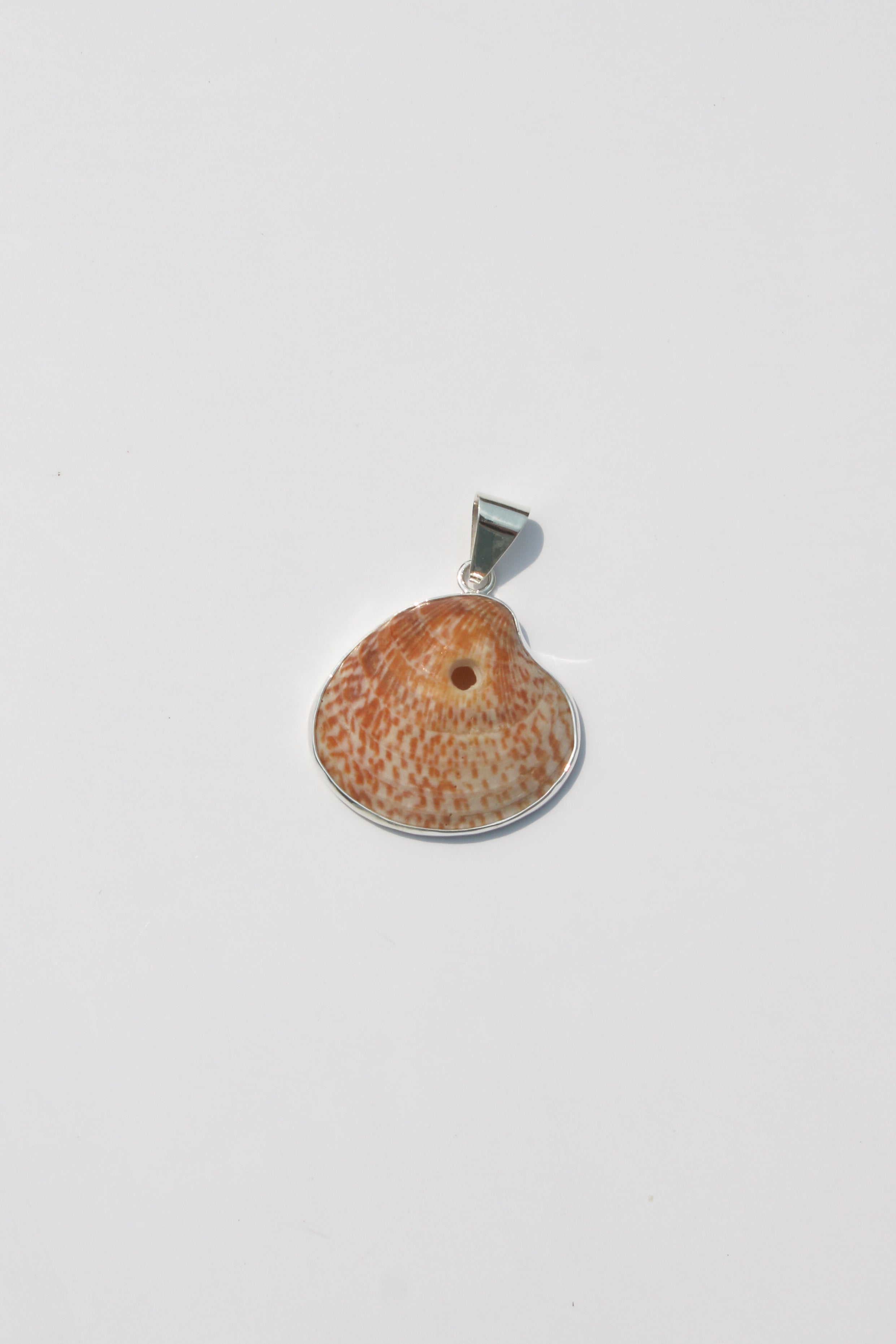 Medium Shell Pendants