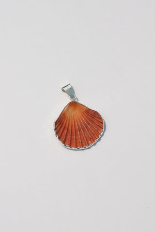 Medium Shell Pendants