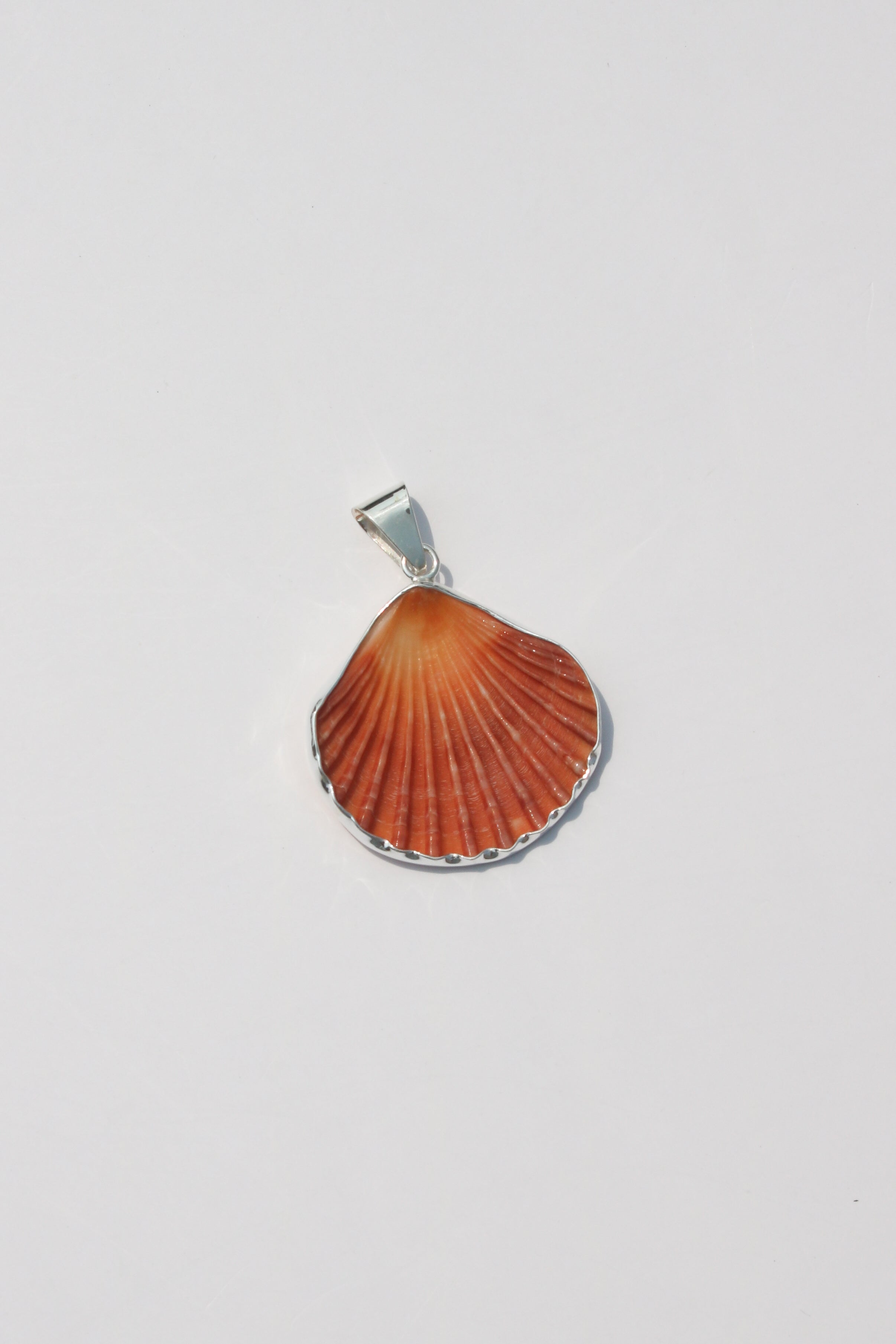 Medium Shell Pendants
