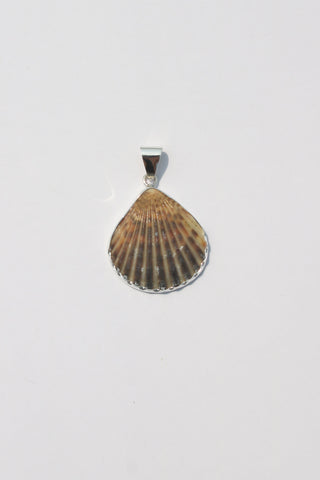 Medium Shell Pendants