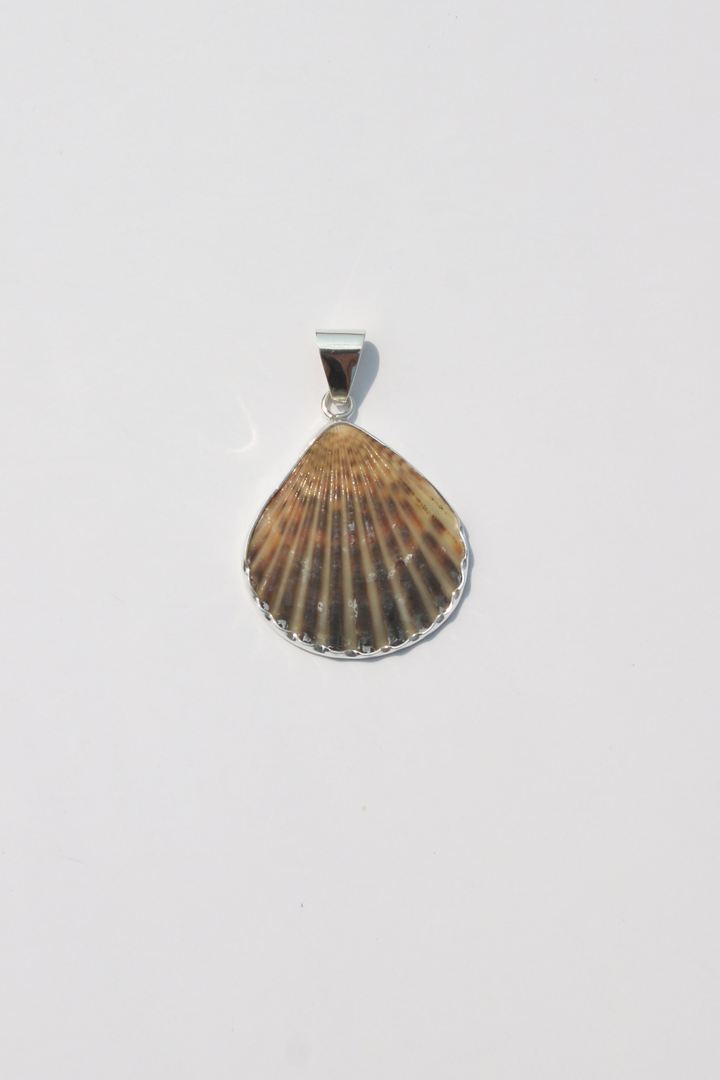 Medium Shell Pendants