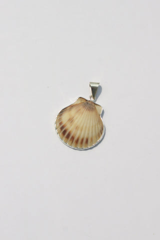 Medium Shell Pendants