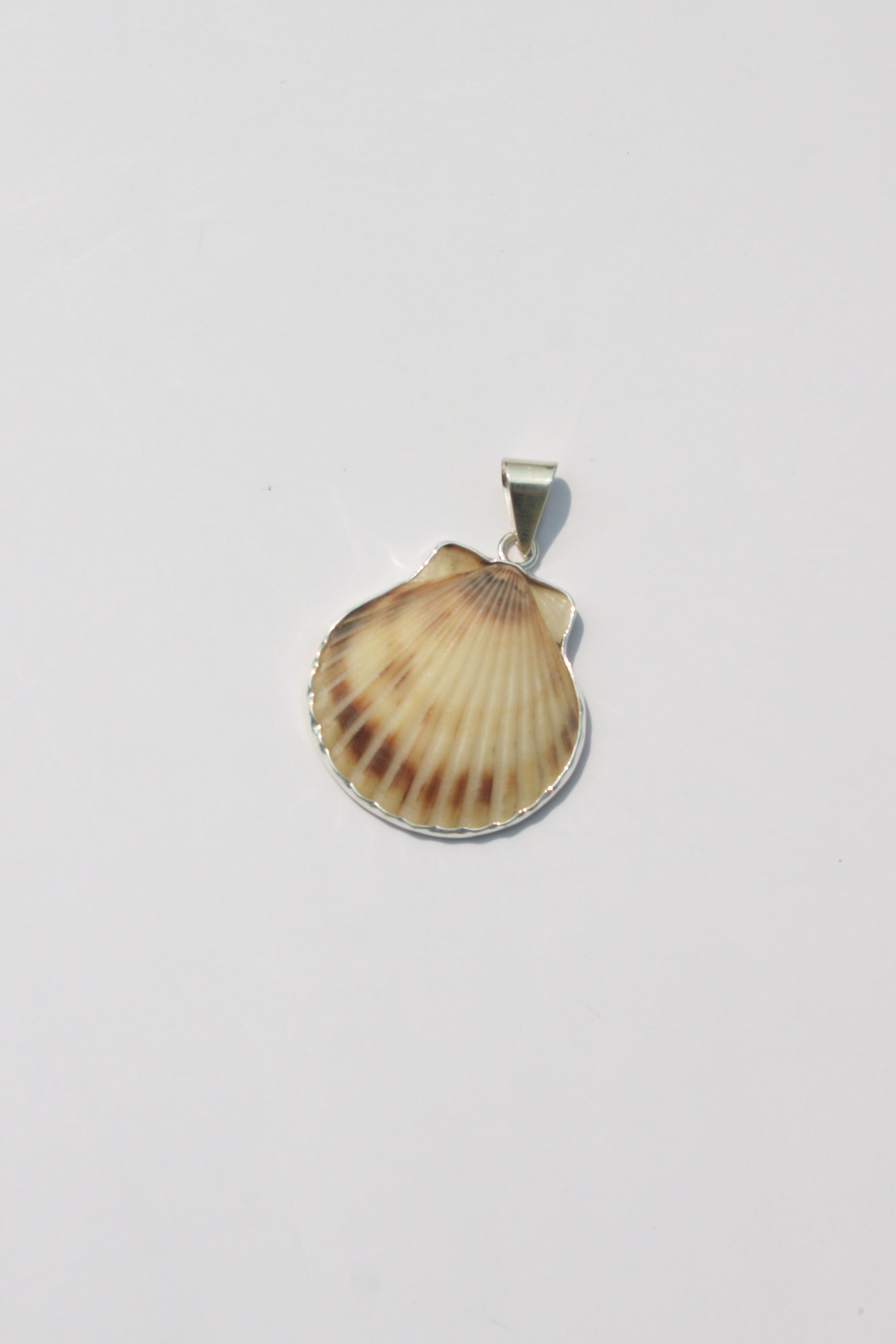 Medium Shell Pendants
