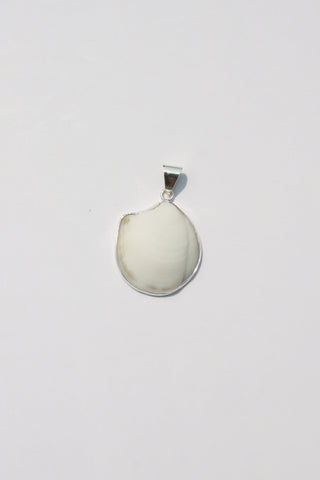 Medium Shell Pendants