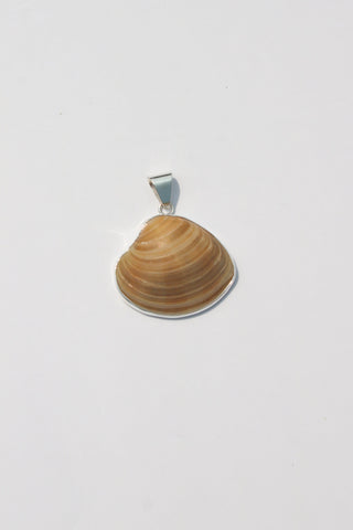 Medium Shell Pendants