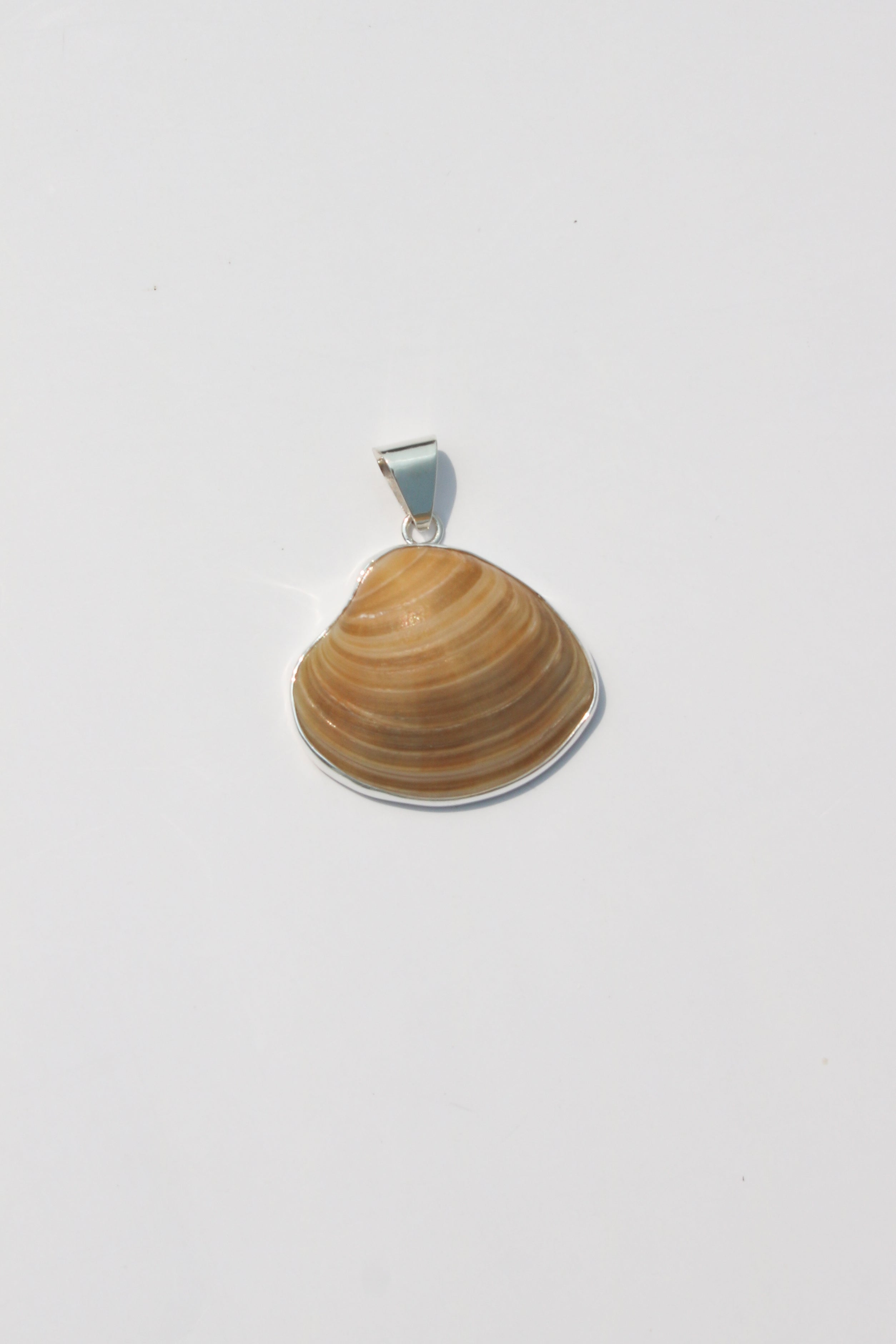 Medium Shell Pendants