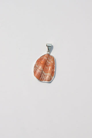 Medium Shell Pendants