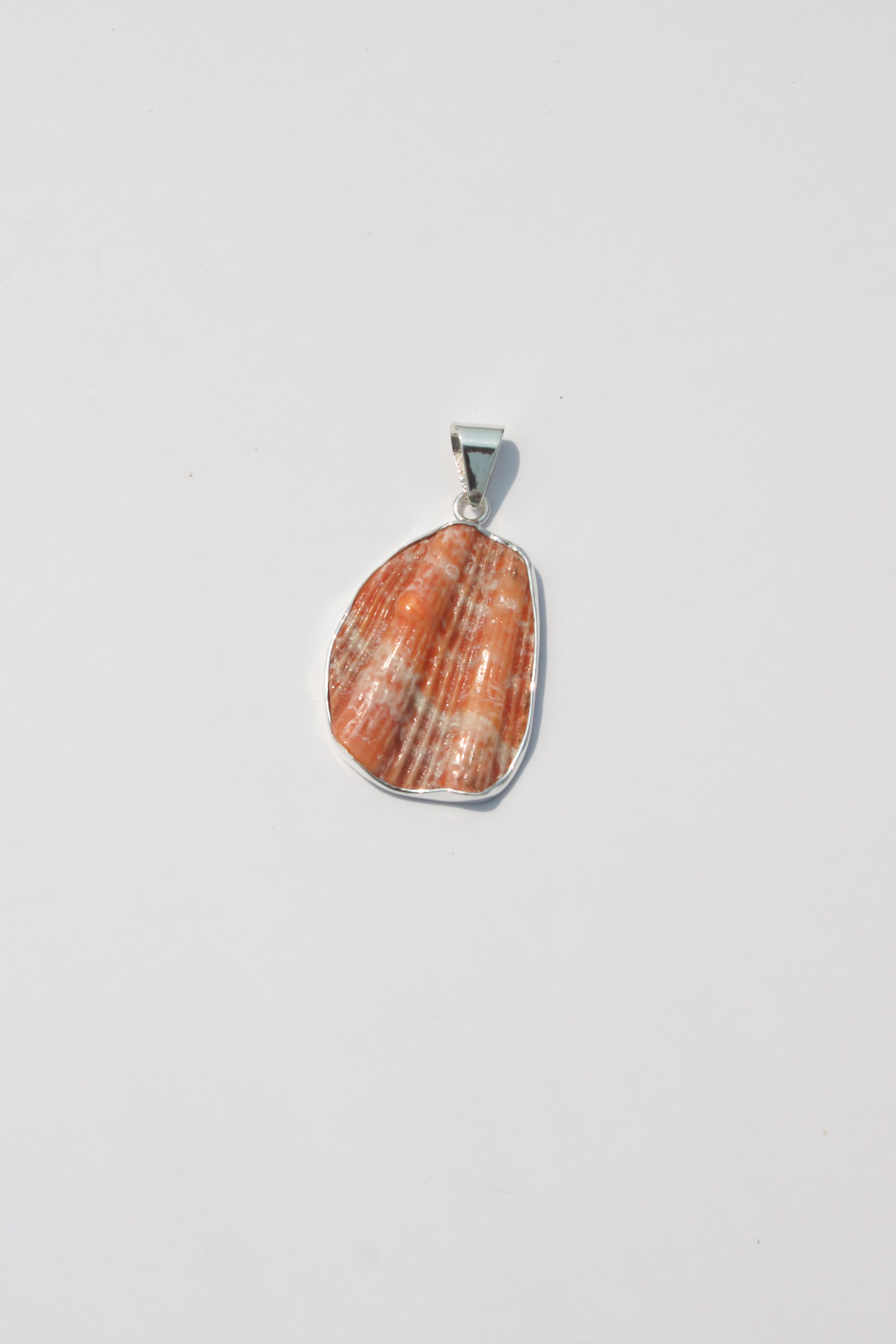 Medium Shell Pendants