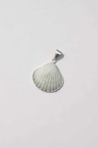 Medium Shell Pendants