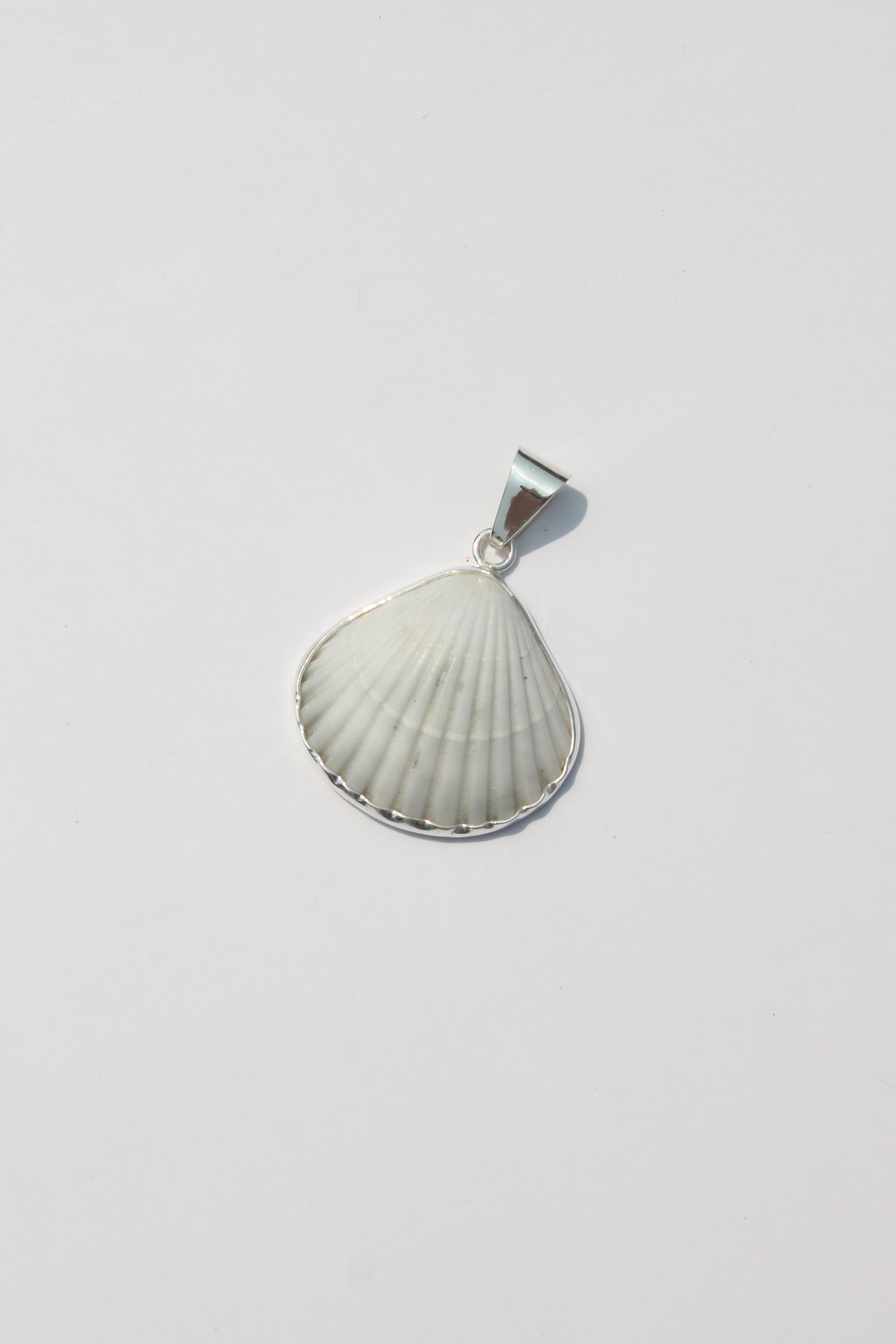 Medium Shell Pendants