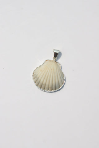 Medium Shell Pendants