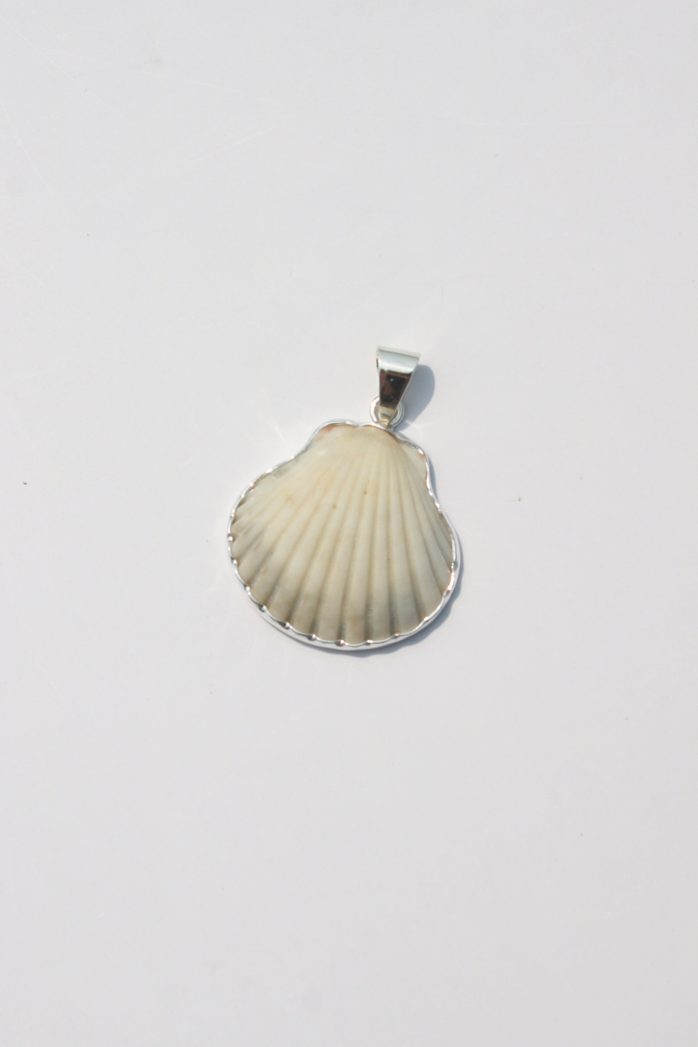 Medium Shell Pendants