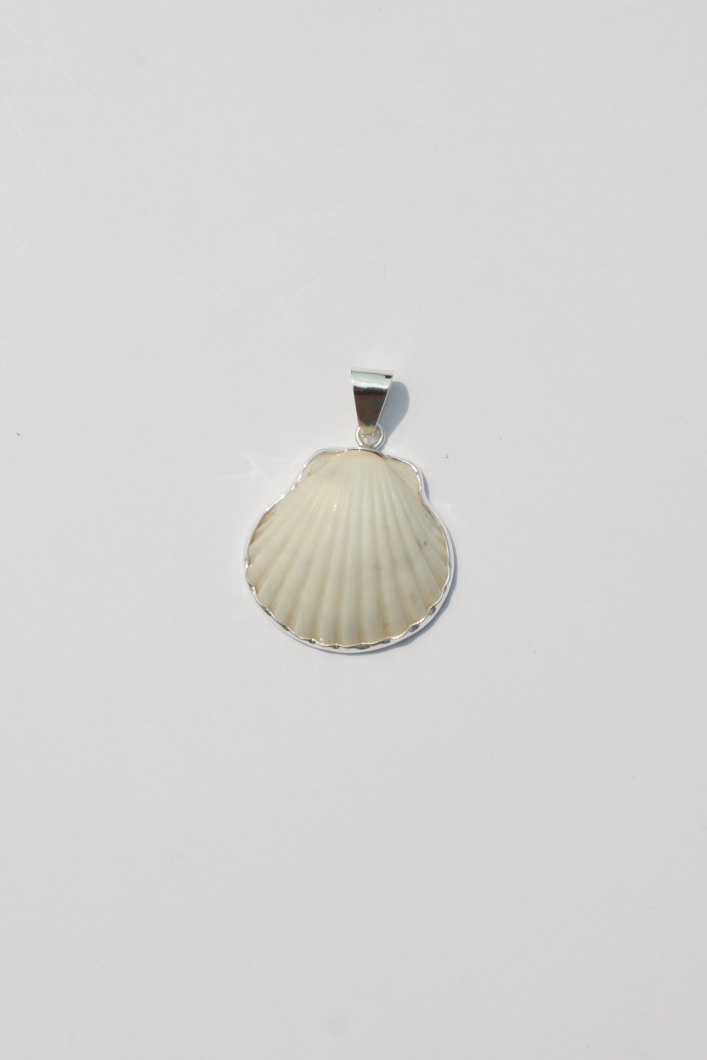 Medium Shell Pendants