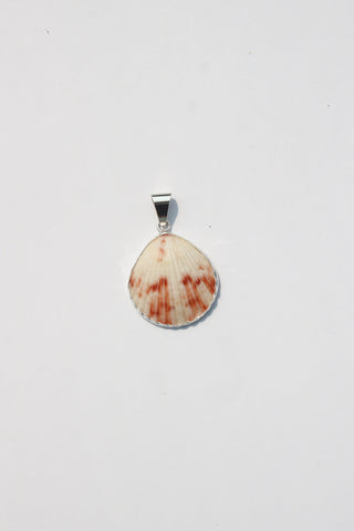 Medium Shell Pendants