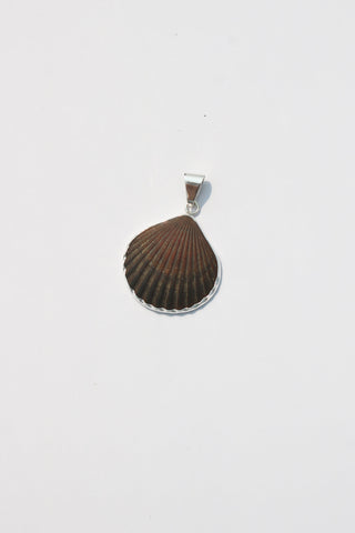 Medium Shell Pendants