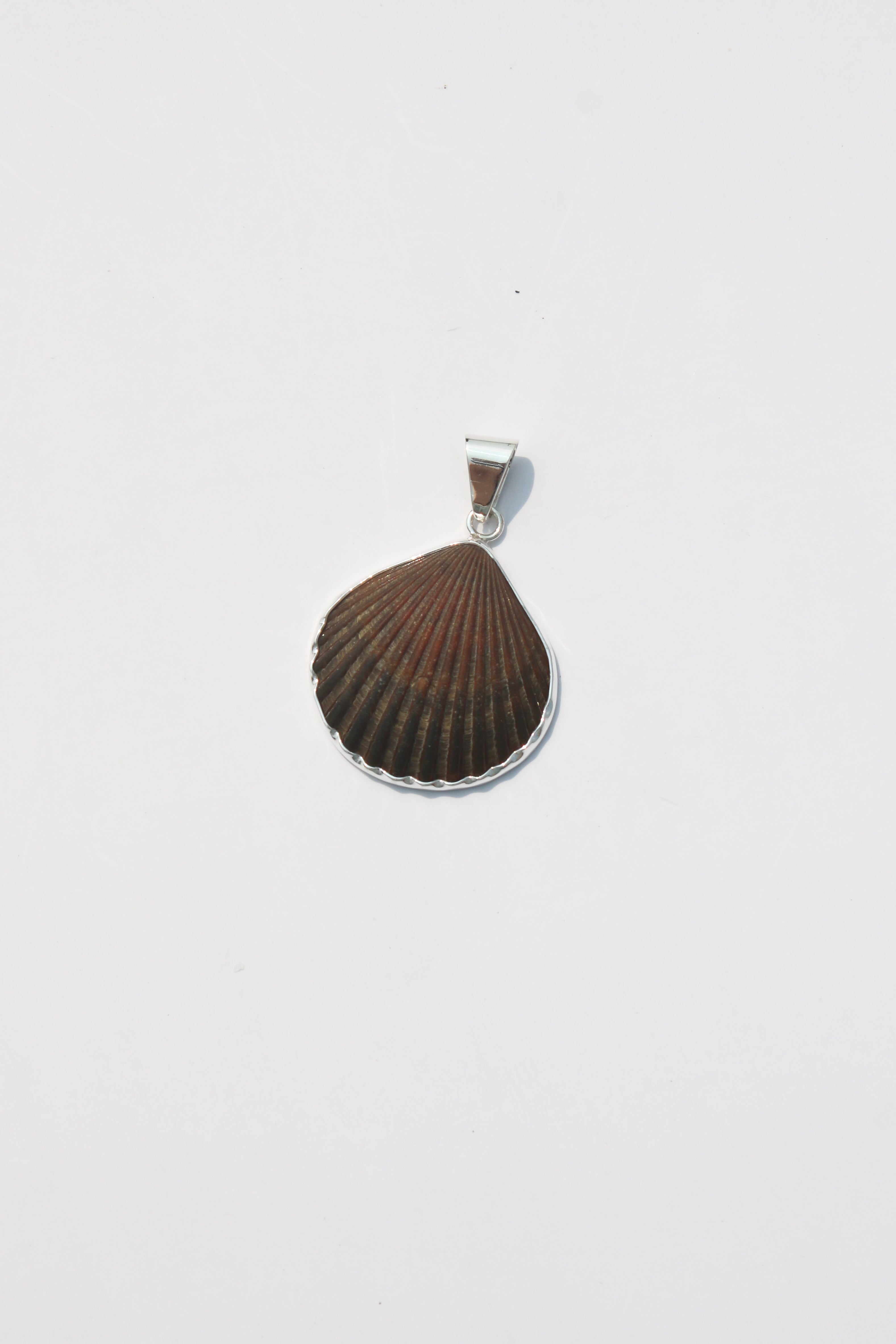 Medium Shell Pendants