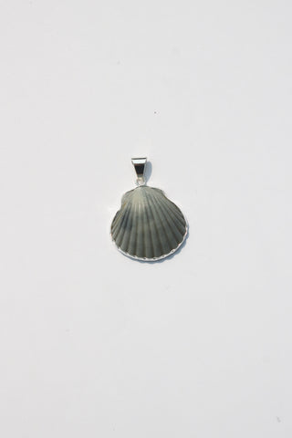 Medium Shell Pendants