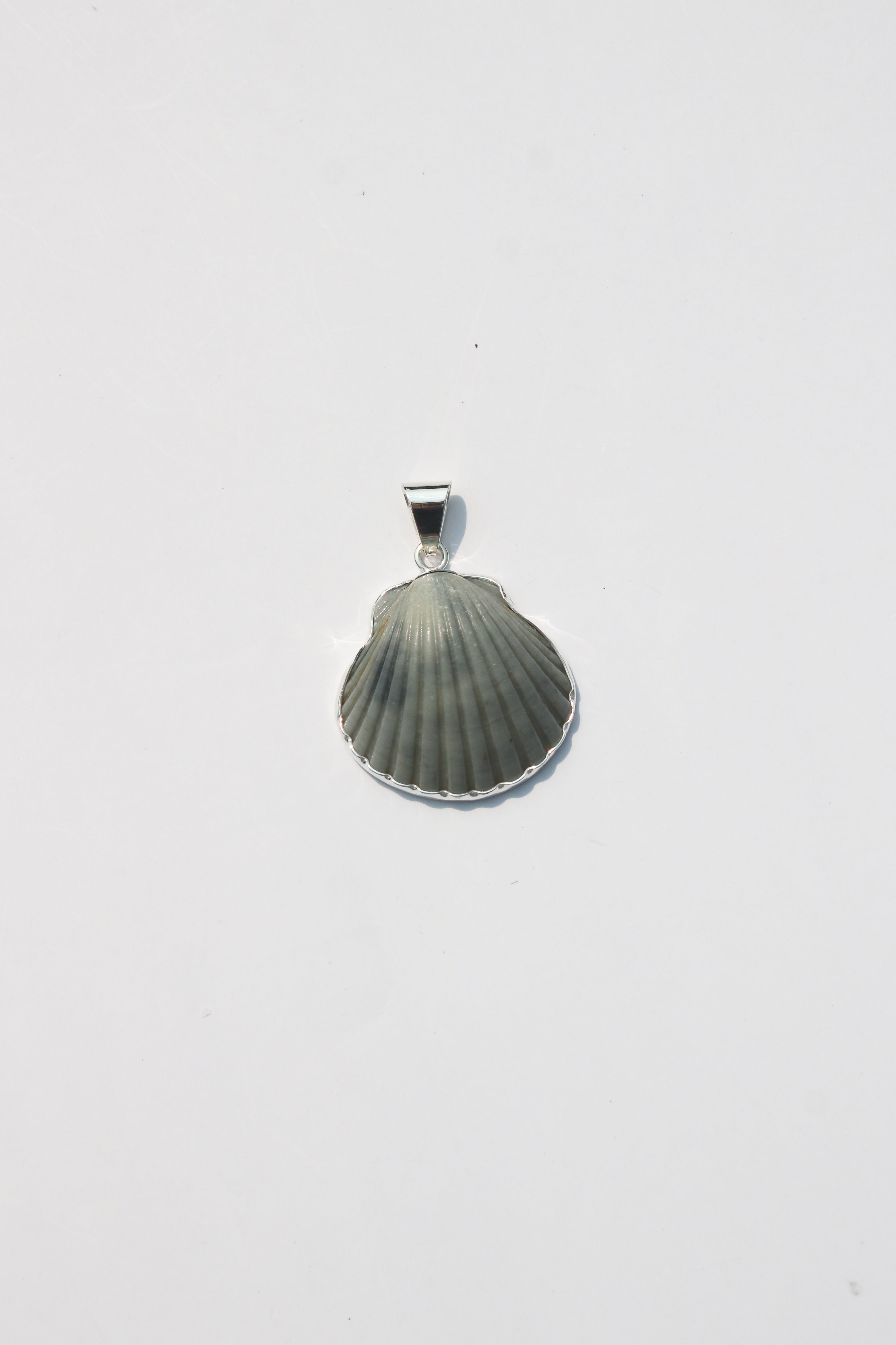 Medium Shell Pendants
