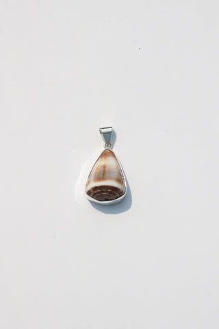 Medium Shell Pendants