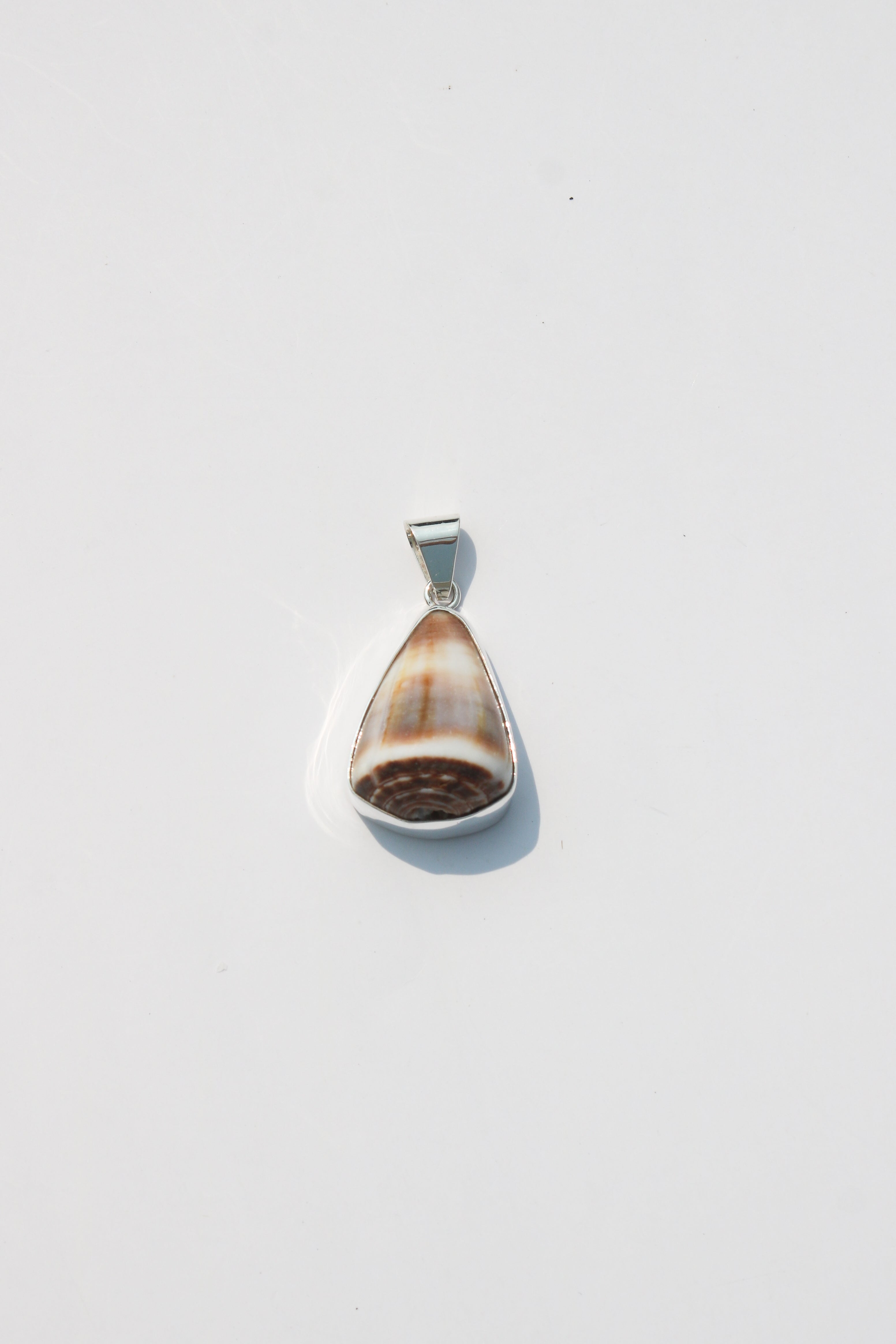 Medium Shell Pendants