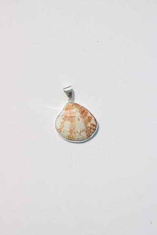 Medium Shell Pendants