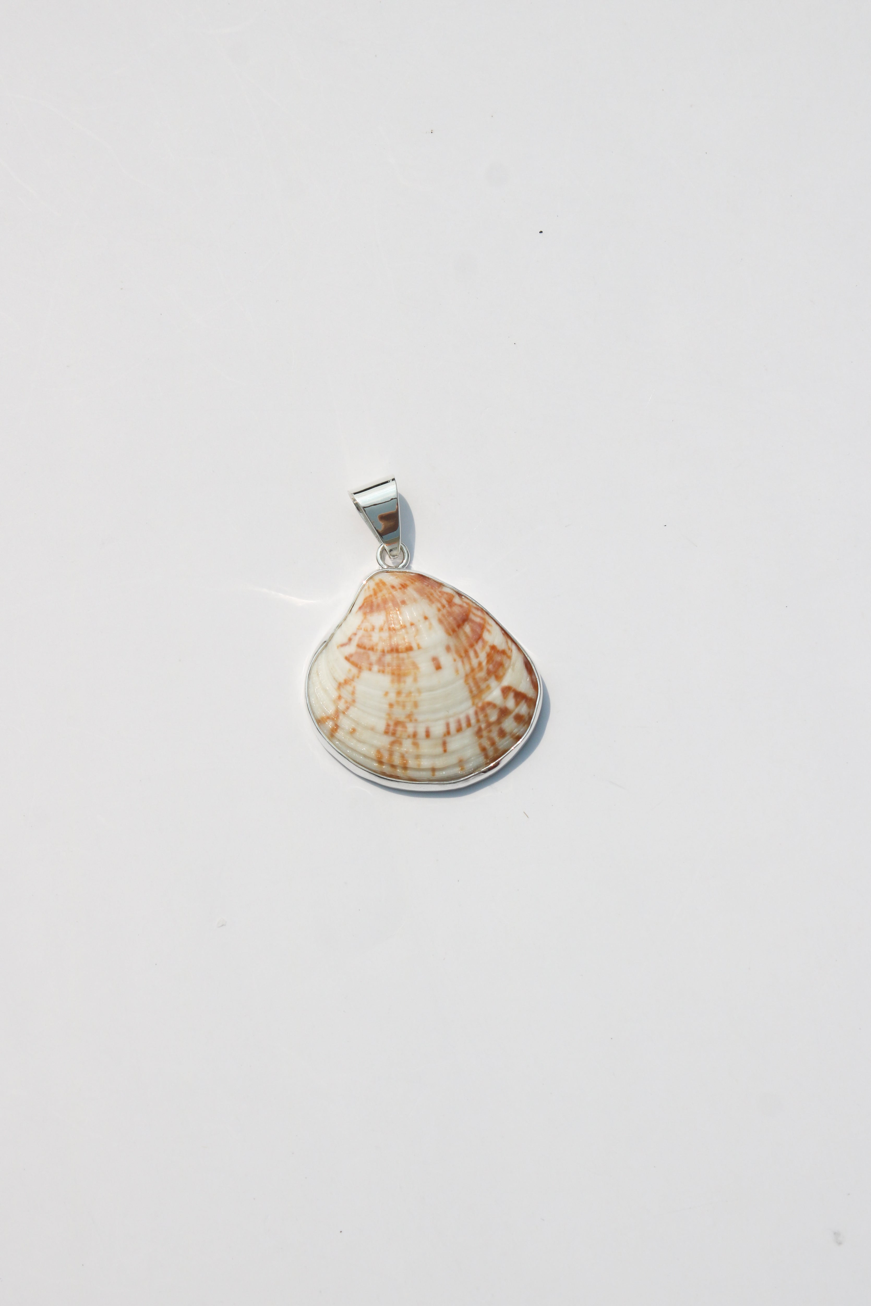 Medium Shell Pendants