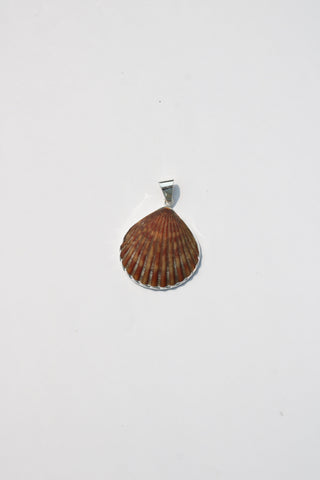Medium Shell Pendants