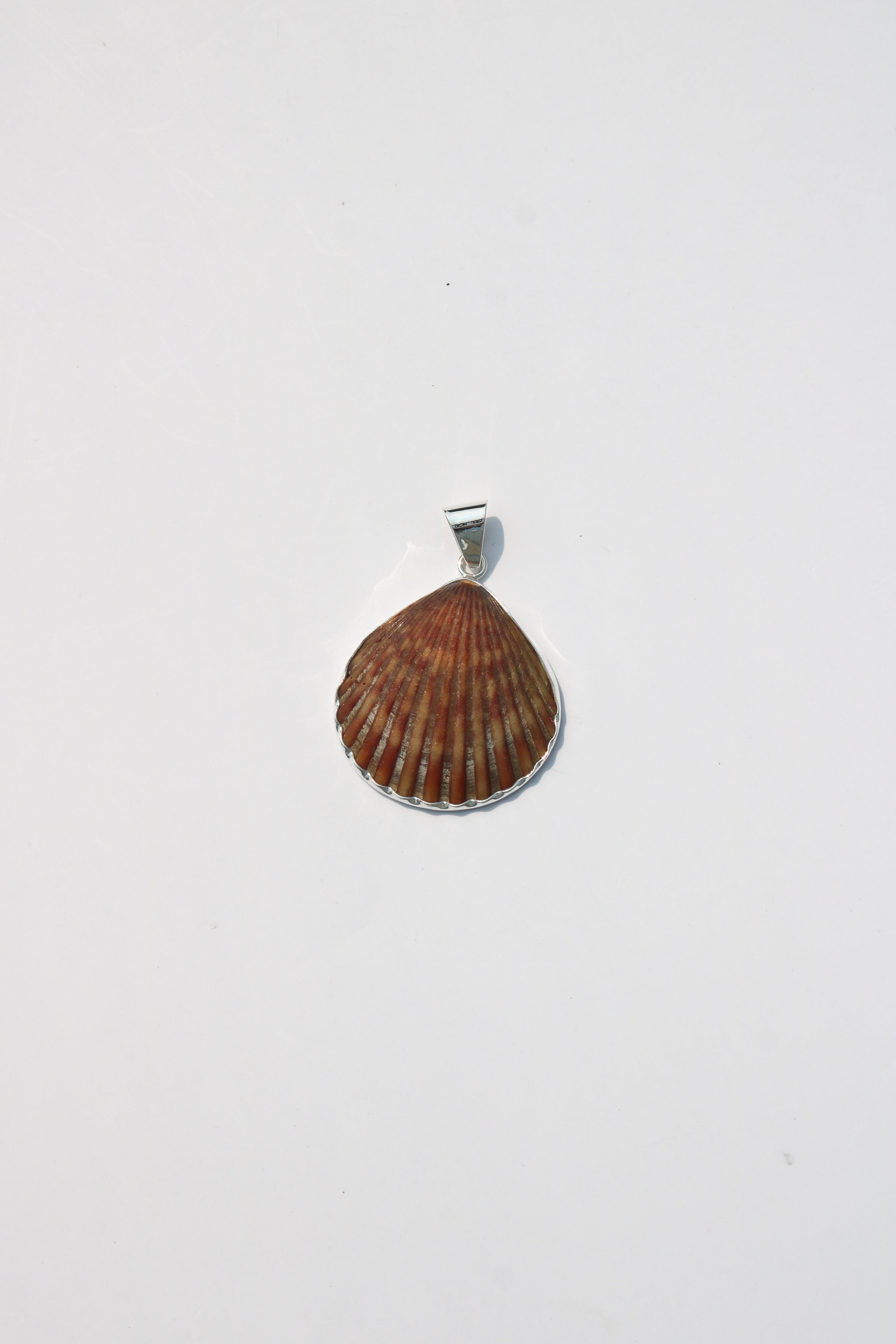 Medium Shell Pendants