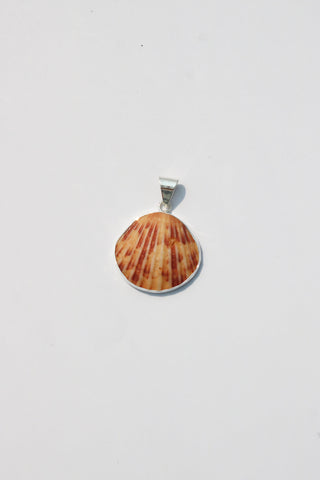Medium Shell Pendants