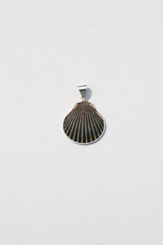 Medium Shell Pendants