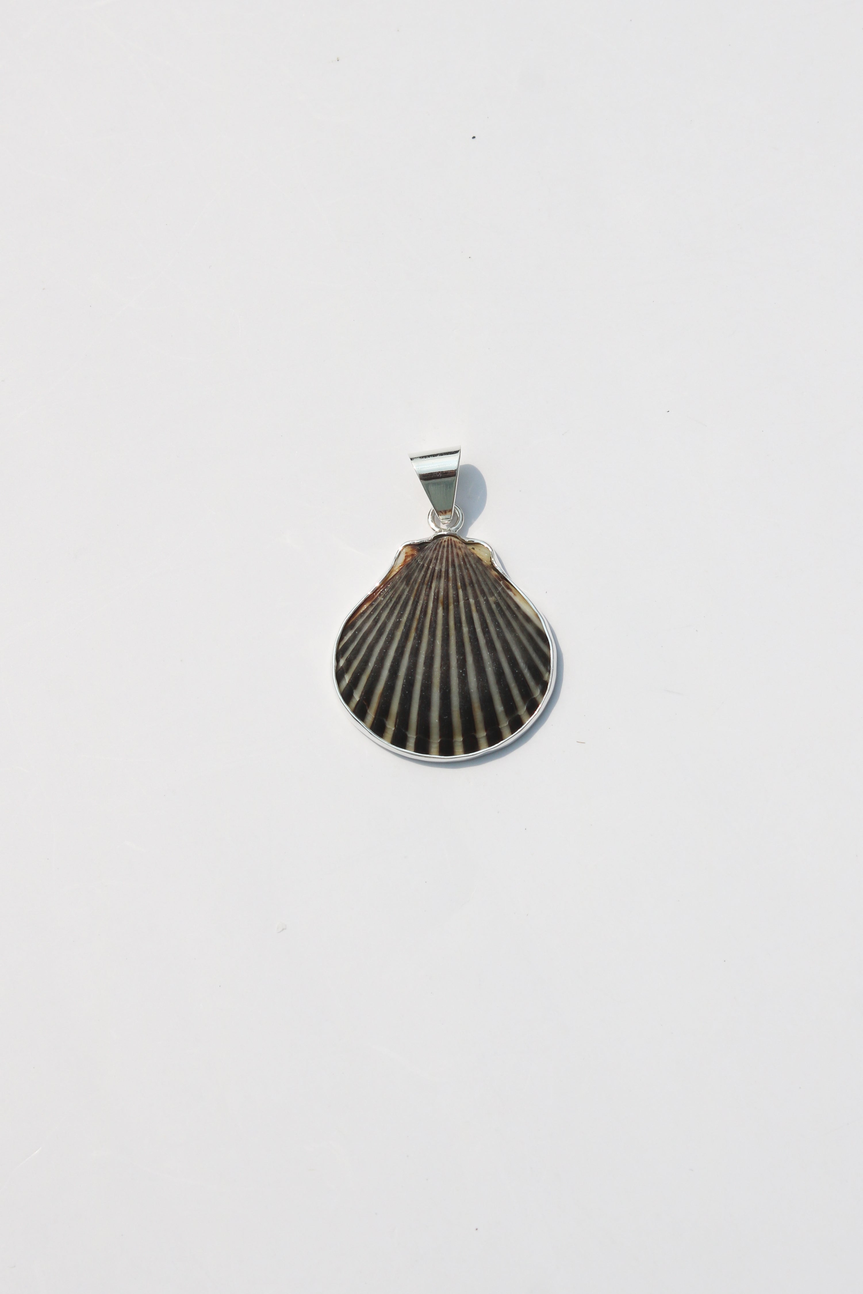 Medium Shell Pendants