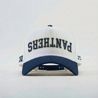 FIU Panthers Hat
