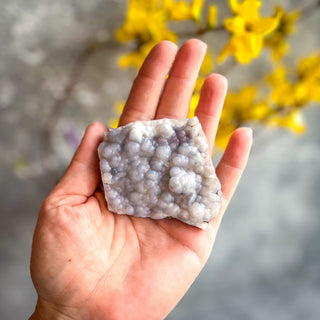 Raw Blue Chalcedony Specimens