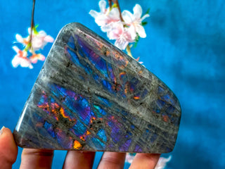 Purple Labradorite Crystal Freeform, Rainbow Labradorite, White Labradorite, Grey Labradorite